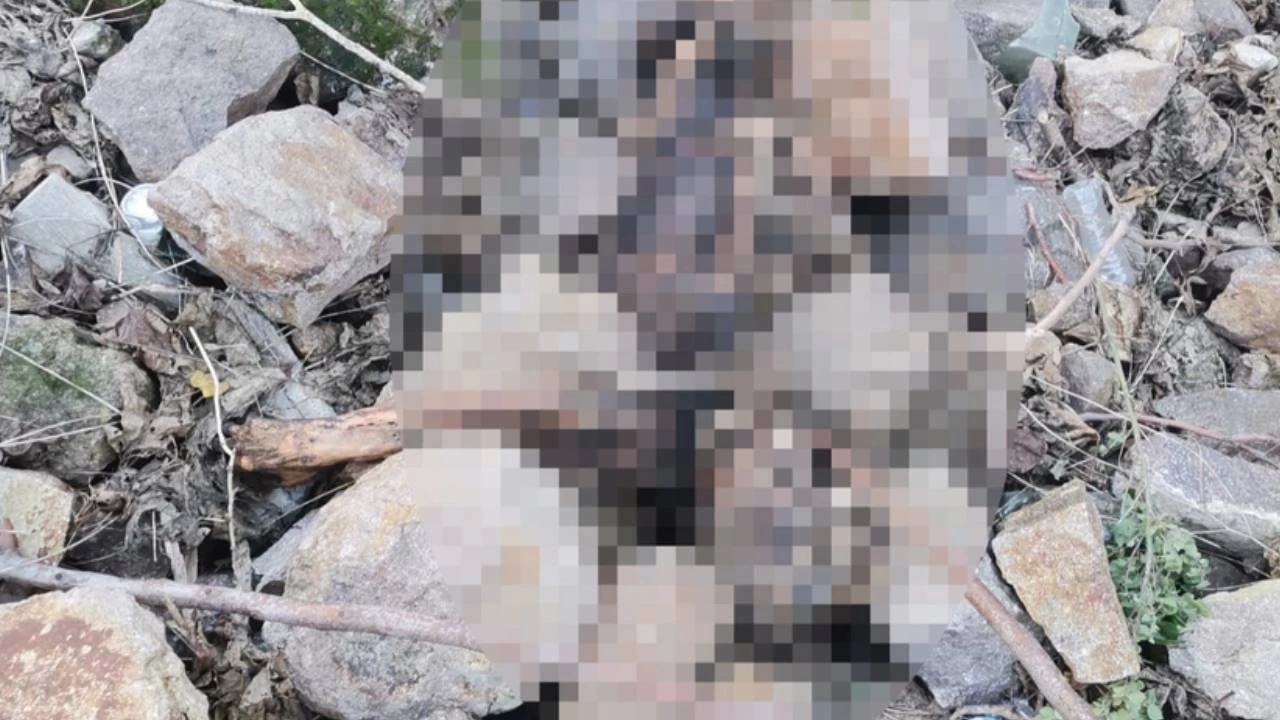 zmir Tarihi Asansr yaknnda insan kemikleri bulundu