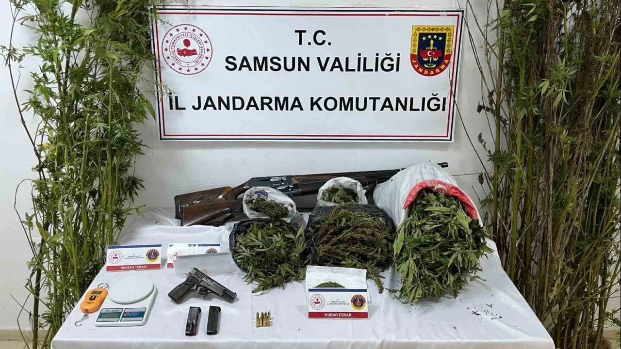 Jandarmadan operasyon: Esrar, kenevir ve silah ele geirildi