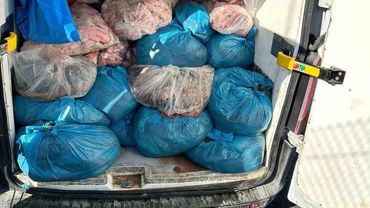 Kaak sakatat operasyonu: 2 ton ele geirildi