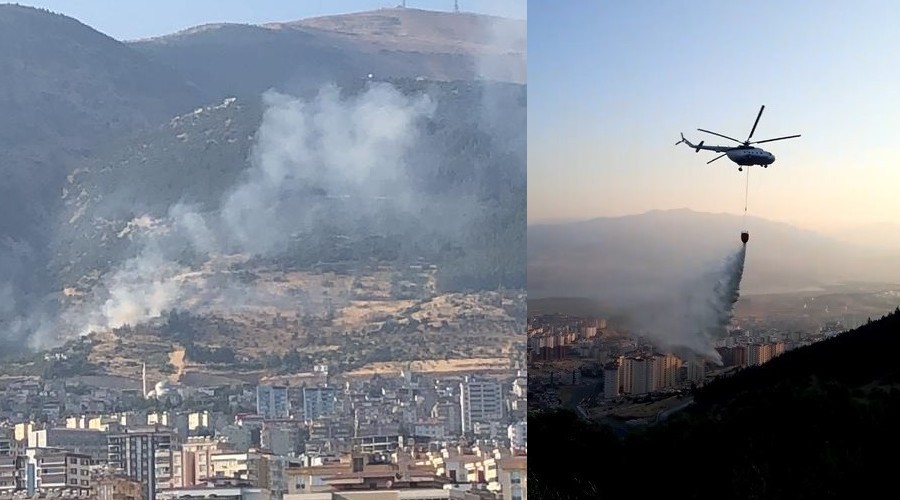 Kahramanmaraş'ta orman yangını