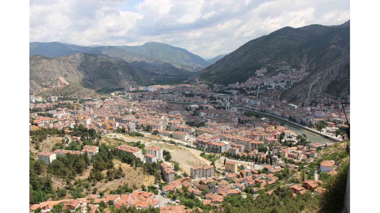 Kahverengi kokarca yayılıyor: Amasya'da da tespit edildi