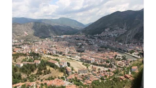 Kahverengi kokarca yaylyor: Amasya'da da tespit edildi