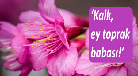 Kalk, ey toprak babas!