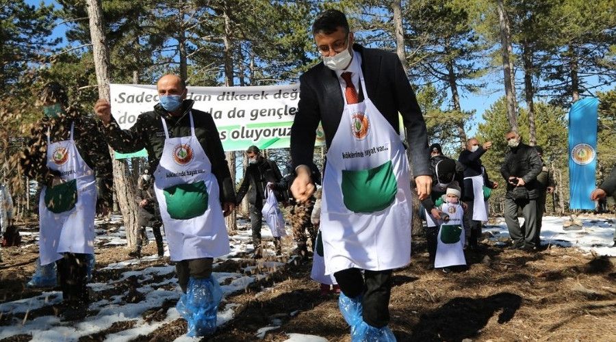 Karaçam tohumları toprakla buluştu