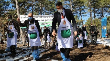 Karaçam tohumları toprakla buluştu