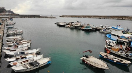 'Karadeniz nadasa bırakılmalı'