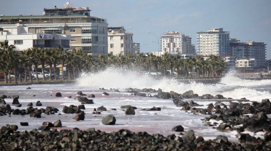 Karadeniz'de dev dalgalar yola taştı