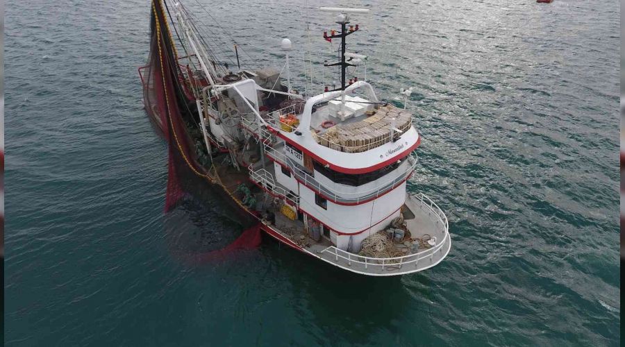 Karadeniz'de mayınlardan balıkçılar endişeli