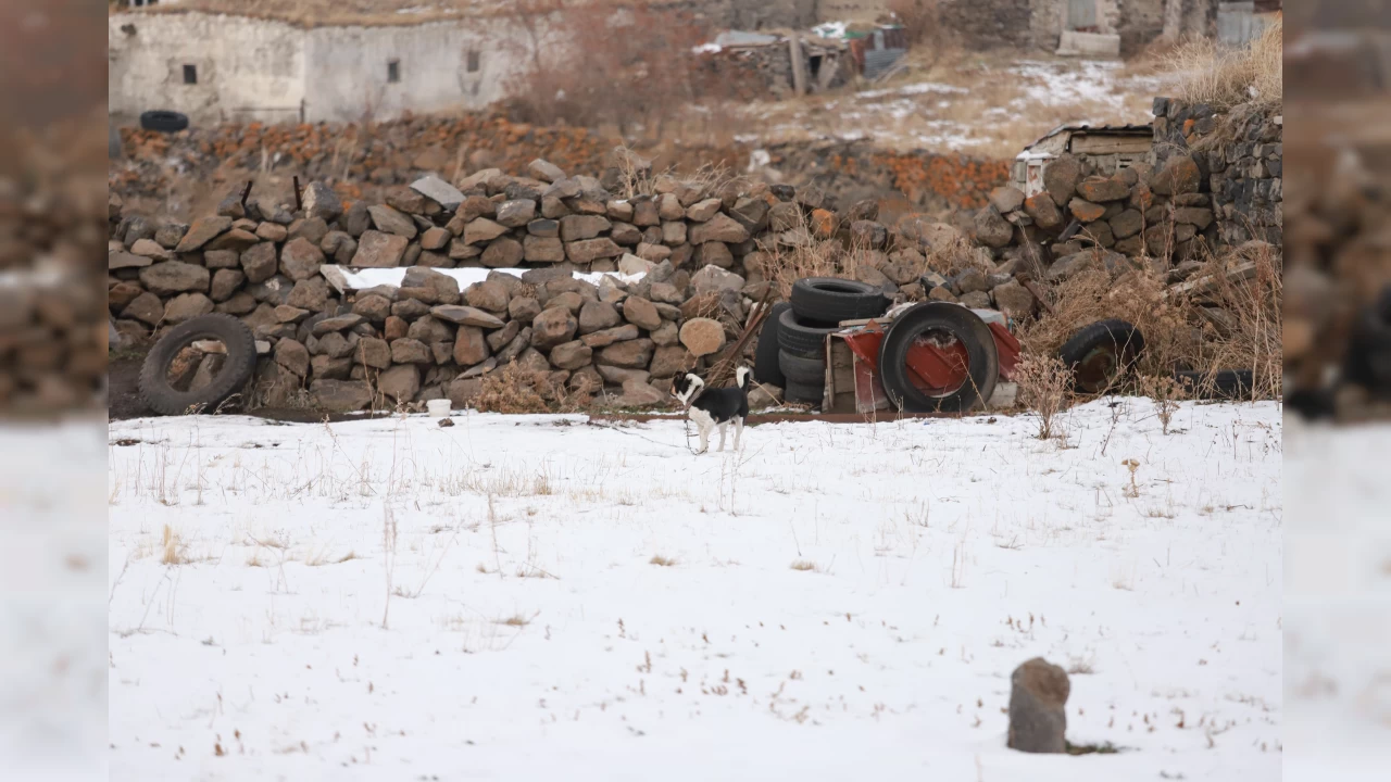 Kars'ta kar yağışı ve soğuk hava etkili oluyor