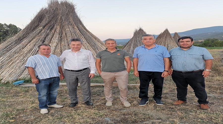 Kastamonu kenevirin yeni �ss� oluyor