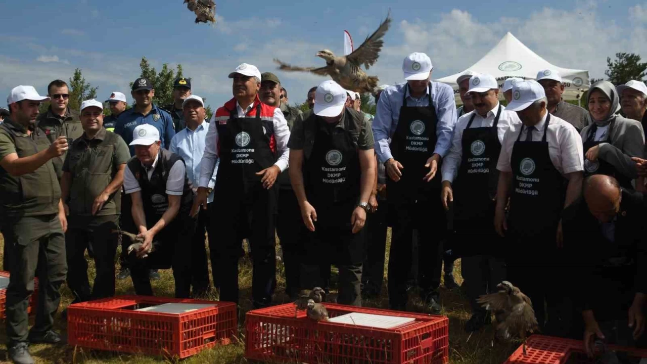 Kastamonu'da doğaya 2 bin 100 kınalı keklik salındı