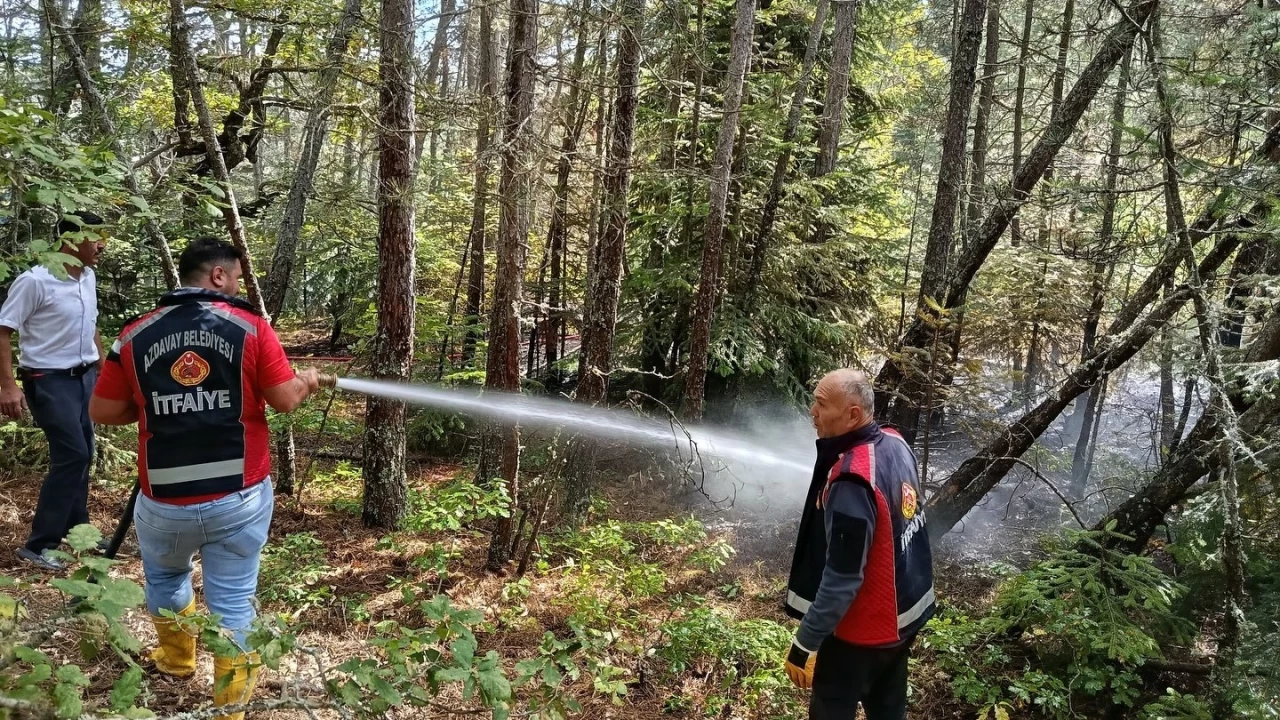 Kastamonu'da ormanlk alanda kan yangn sndrld