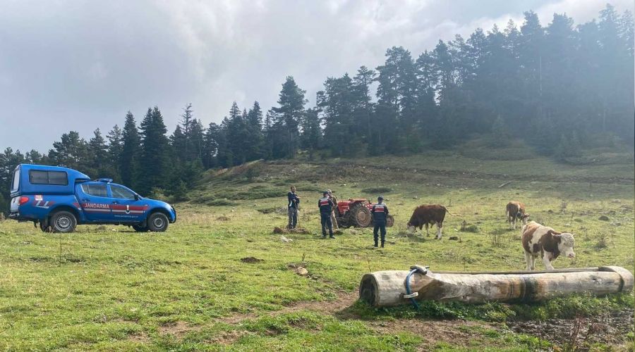 Kaybolan hayvanlar 5 km uzakta bulundu