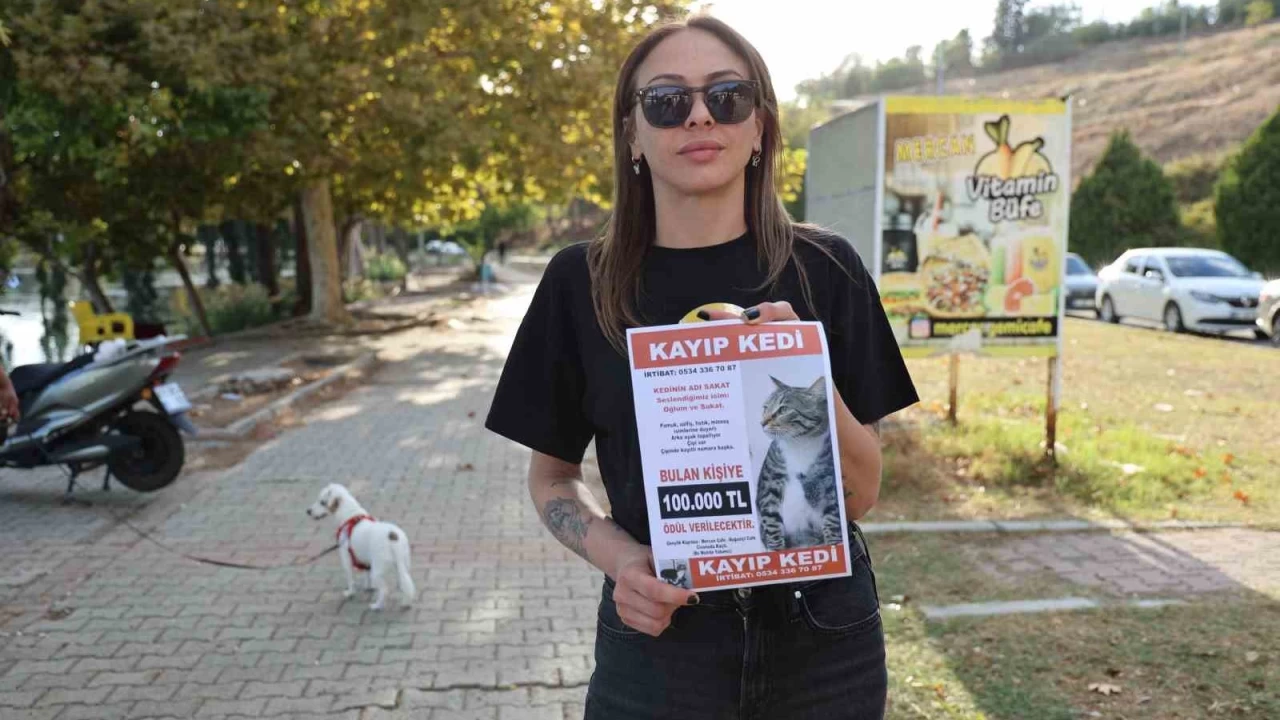 Kayıp kedisini bulana 100 bin lira ödül verecek
