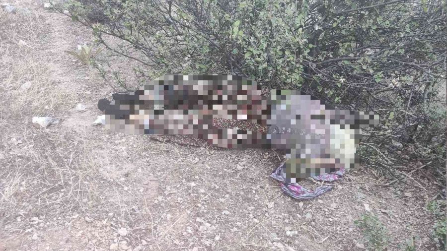 Kay�p olarak aran�yordu ac� haber geldi