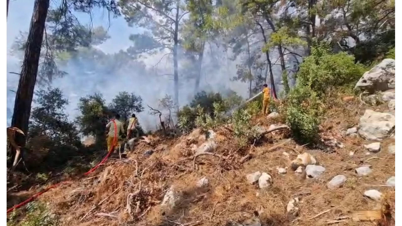 Kemer'deki orman yangını kontrol altına alındı