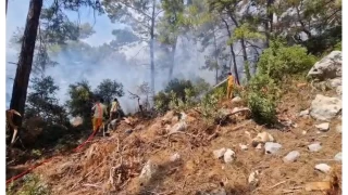 Kemer'deki orman yangn kontrol altna alnd