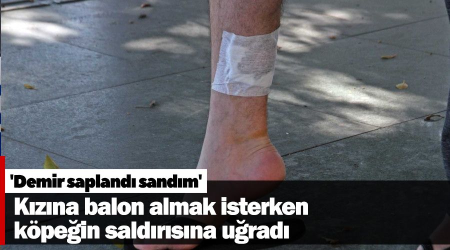 Kızına balon almak isterken köpeğin saldırısına uğrayan baba hastanelik oldu