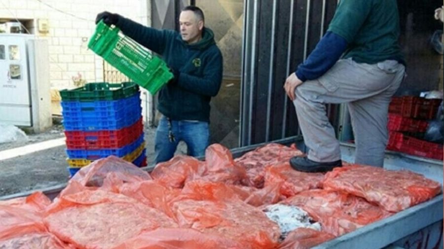 KKTC'de 1 tondan fazla kaçak et ele geçirildi