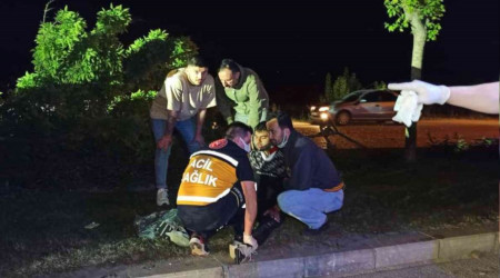 Kontrolden çıkan otomobil ağaç ve direği devirerek durabildi: 1'i ağır 5 yaralı