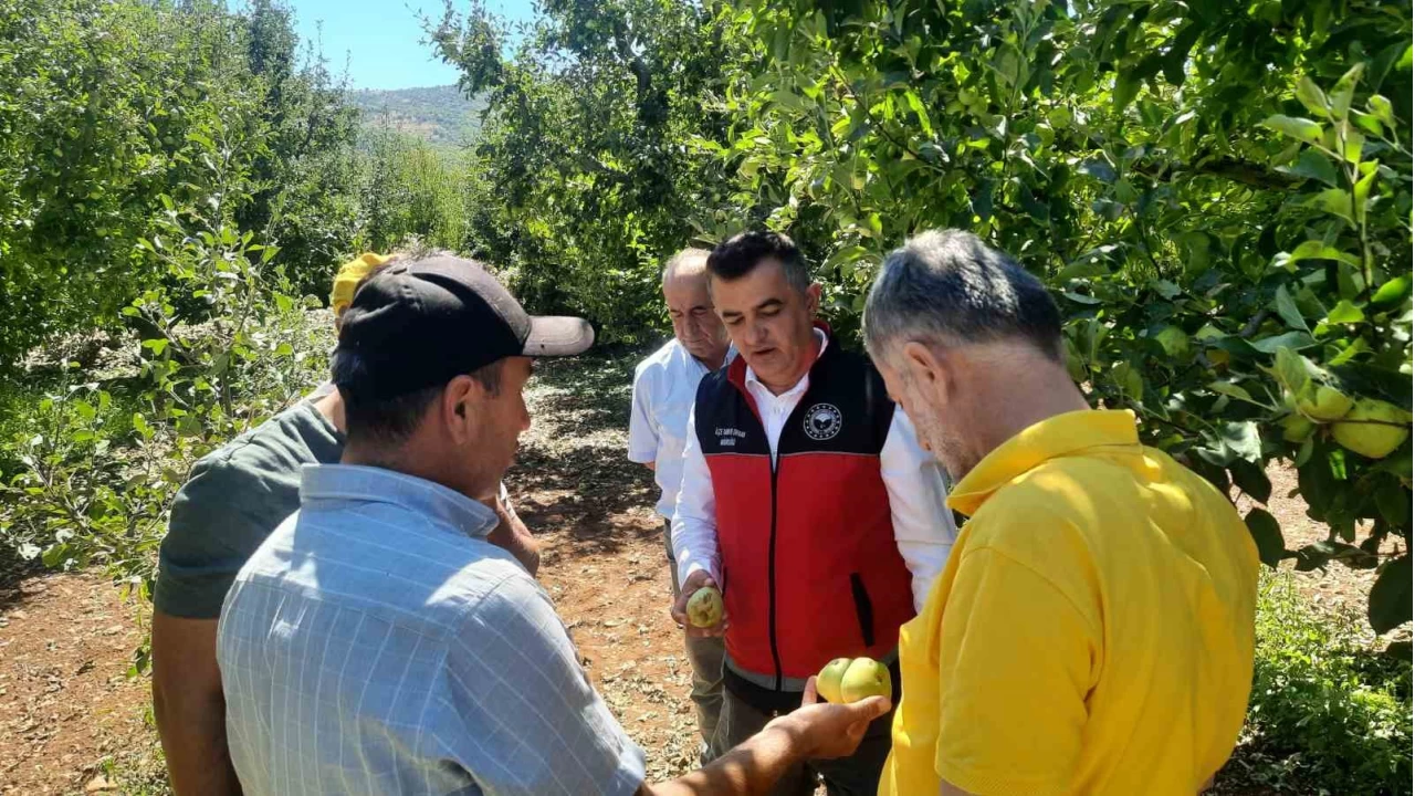 Konya'da dolu etkili oldu, bah�eler b�y�k zarar g�rd�