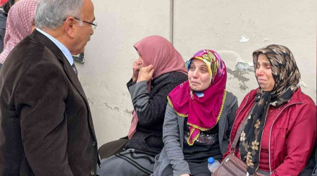 Köpeklerden kaçarken canından oldu