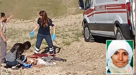 Köpeklerinin saldırdığı yaşlı kadın öldü