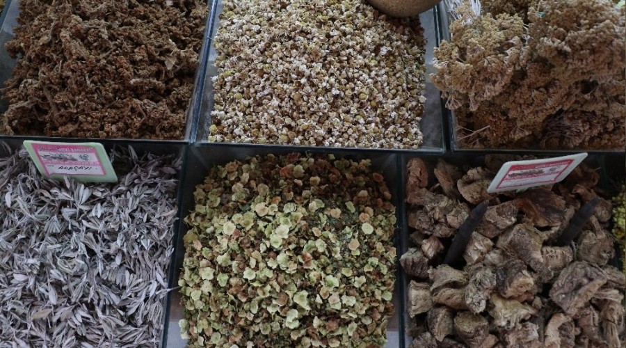 Korona bitki �aylar�na ra�beti art�rd�