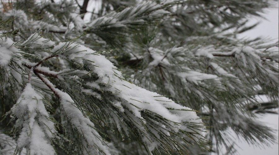 Korudağ'a düşen kar kışı müjdeledi