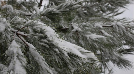 Korudağ'a düşen kar kışı müjdeledi