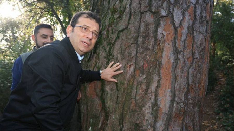 Küçükçamlıca Korusu yenilendi