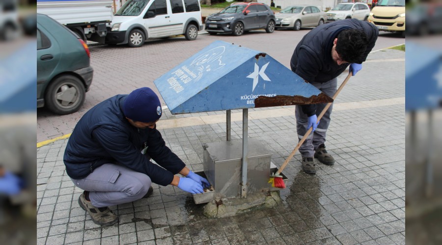 Küçükçekmece Belediyesi, sokak hayvanlarını unutmadı