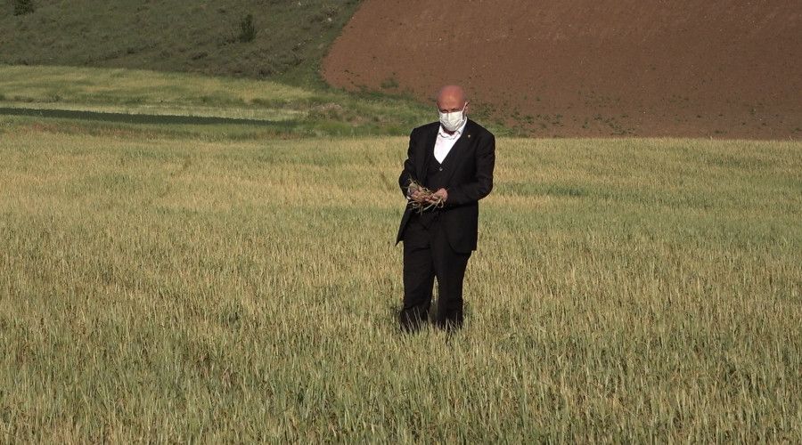 Kuraklık hububat üretimini olumsuz etkiledi