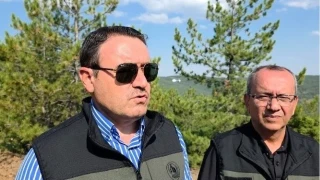 Kütahya Valisi Işın: "70 dekarlık alan zarar gördü"