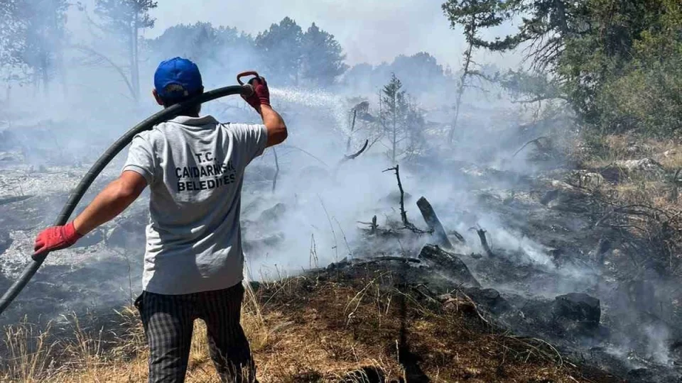 K�tahya'da orman yang�n�: Ekipler m�dahale ediyor