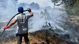 K�tahya'da orman yang�n�: Ekipler m�dahale ediyor