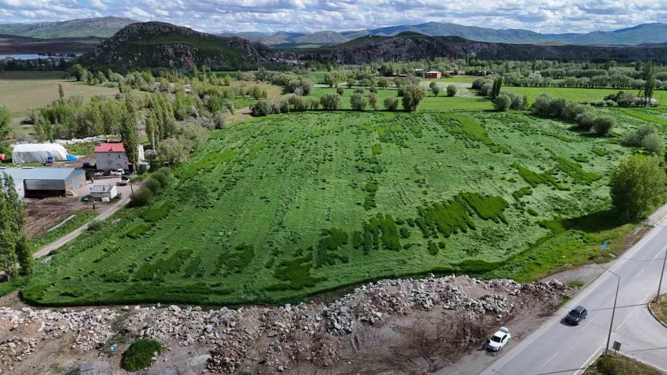 Kuvvetli yağış sonrası ekili araziler zarar gördü