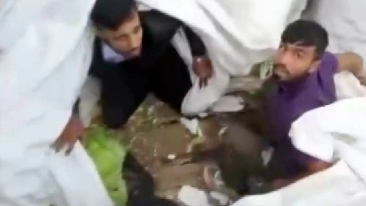 Lahana ykl trdan kaak gmenler kt