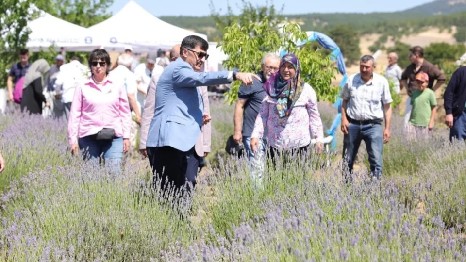 Lavanta bahçesinde hasat coşkusu