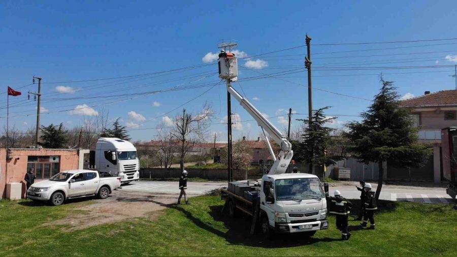 'Leylek Poplasyonunu Koruma' projesi finali getirdi