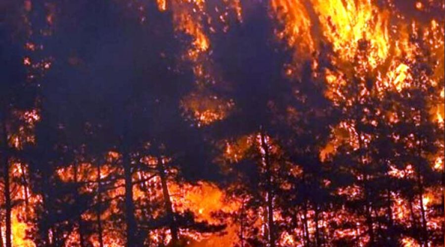 Manavgat'taki yangına neden olan şüpheli öldü