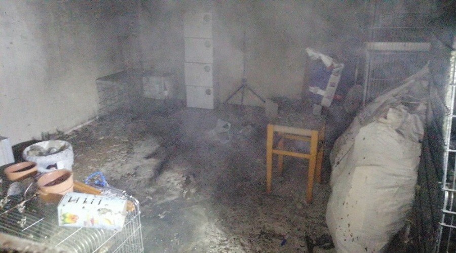 Mangal keyfi ku�lar�n can�na mal oldu