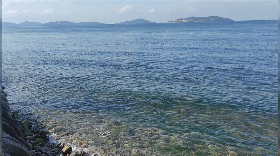 Marmara Denizi'nde 'oksijen' tkeniyor