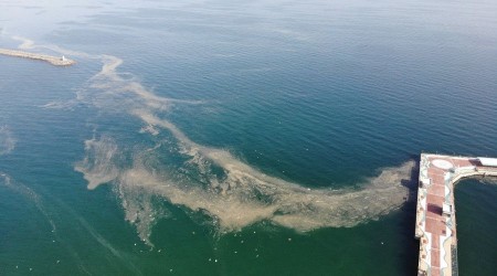 Marmara'da endişelendiren görüntü
