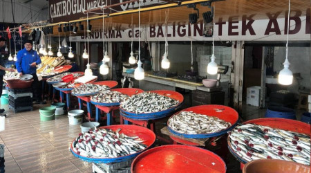 Marmara'da hamsinin zayf kalmas fiyatlara yansd