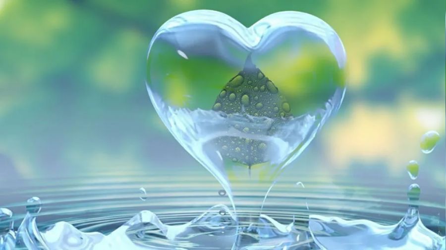 �Mecnun gibi olmal�s�n�