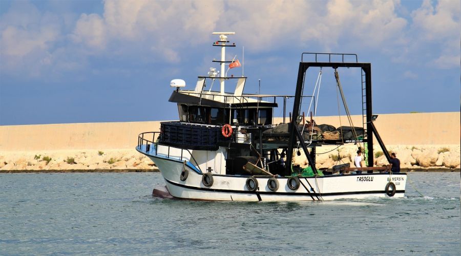 Mersinli balklar 'Vira Bismillah' dedi