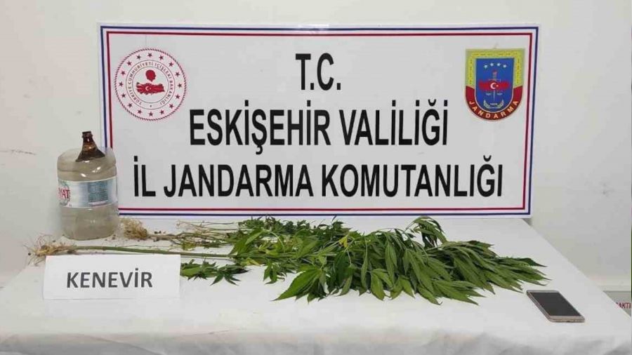 Mezarl��a kenevir eken �ah�s yakay� ele verdi