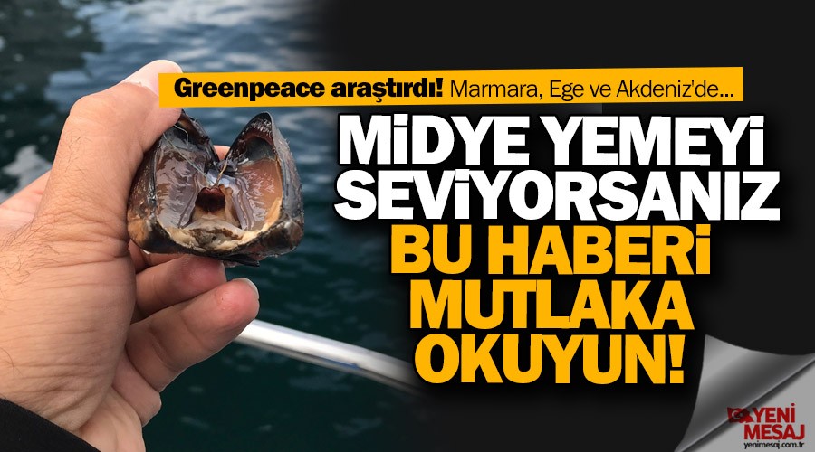 Midyeler mikroplastik dolu