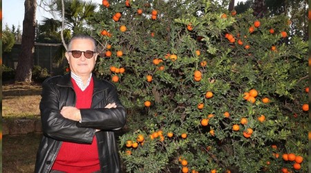 Narenciyenin Gen Bankası Adana'da